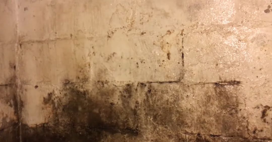 Uzroci buđi su višestruki i povezani su sa višom vlažnošću u prostorijama